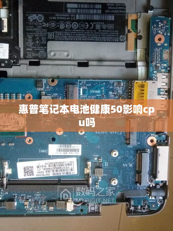 养心菜是一种什么菜？_1