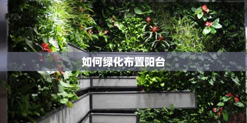 如何绿化布置阳台 如何绿化布置阳台