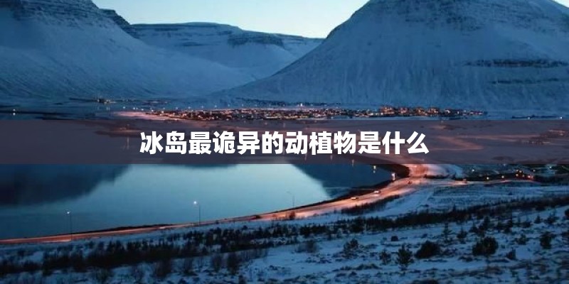 冰岛最诡异的动植物是什么 冰岛最诡异的动植物是什么