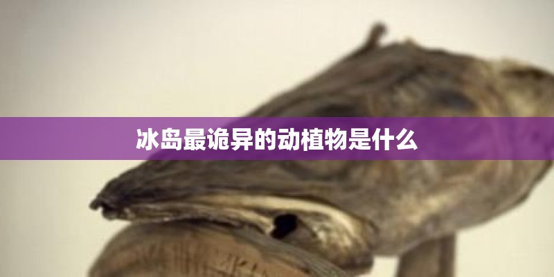 冰岛最诡异的动植物是什么 冰岛最诡异的动植物是什么