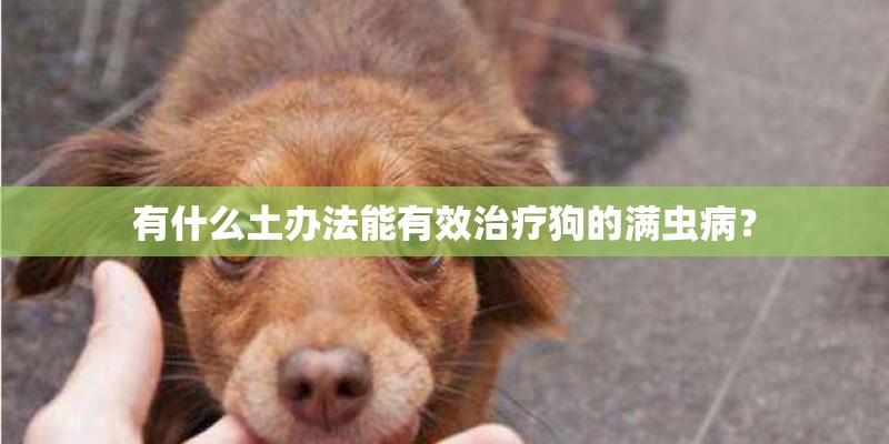 有什么土办法能有效治疗狗的满虫病? 有什么土办法能有效治疗狗的满虫病?
