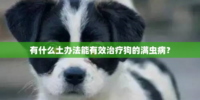 有什么土办法能有效治疗狗的满虫病? 有什么土办法能有效治疗狗的满虫病?