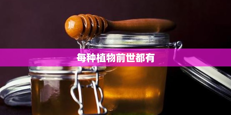 每种植物前世都有