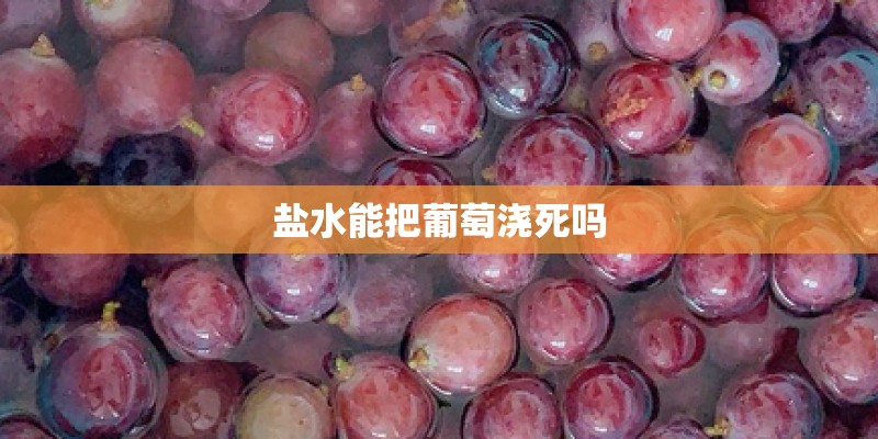 盐水能把葡萄浇死吗