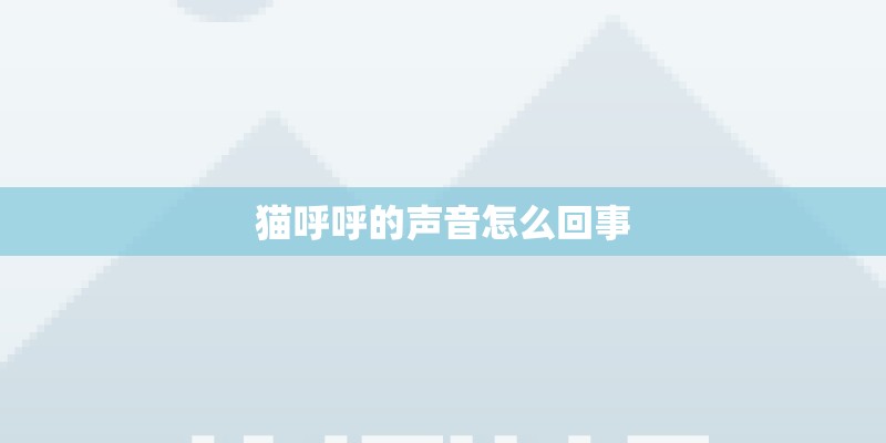猫呼呼的声音怎么回事