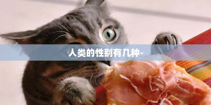 人类的性别有几种- 人类的性别有几种-