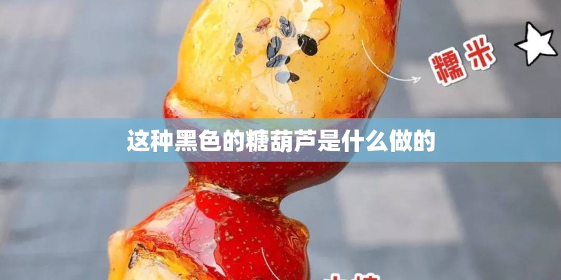 这种黑色的糖葫芦是什么做的