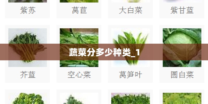 蔬菜分多少种类_1 蔬菜分多少种类_1