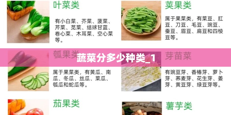 蔬菜分多少种类_1 蔬菜分多少种类_1
