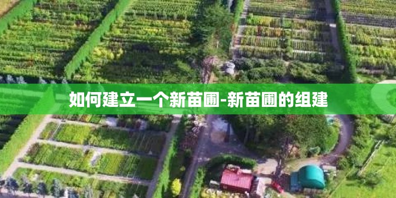 如何建立一个新苗圃-新苗圃的组建