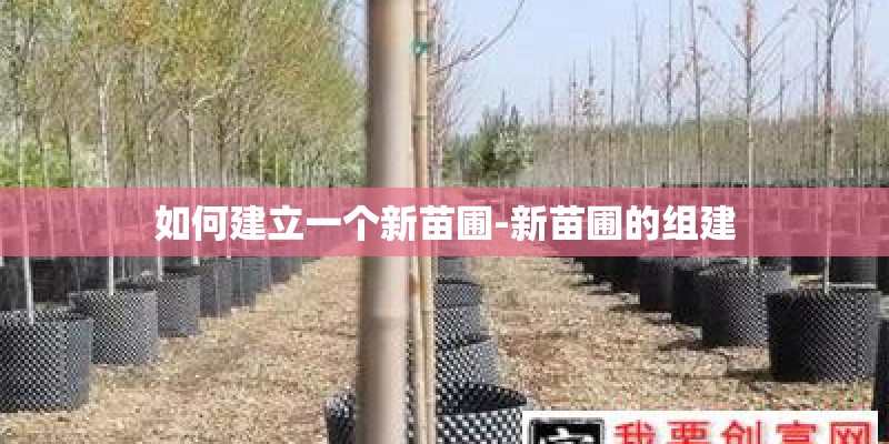 如何建立一个新苗圃-新苗圃的组建
