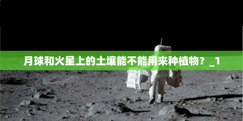 月球和火星上的土壤能不能用来种植物？_1