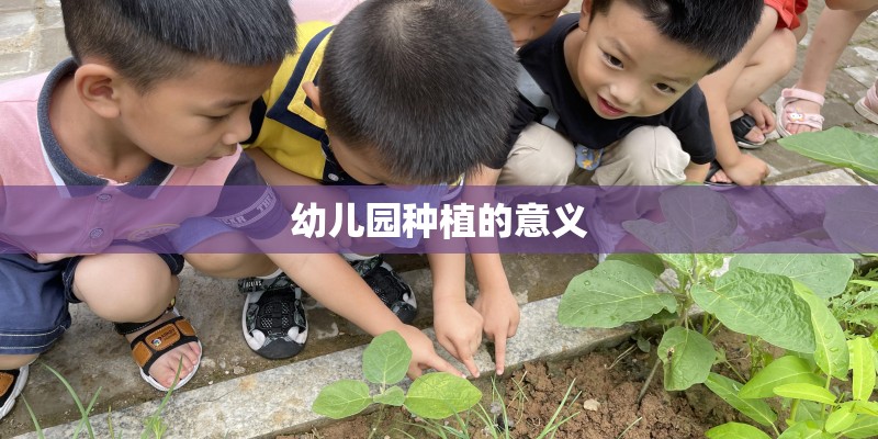 幼儿园种植的意义 幼儿园种植的意义