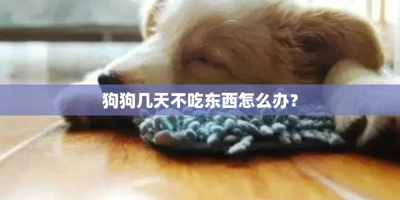 广西最穷的地方是哪里-