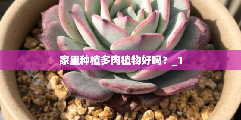 睡莲栽种要土还是水栽好