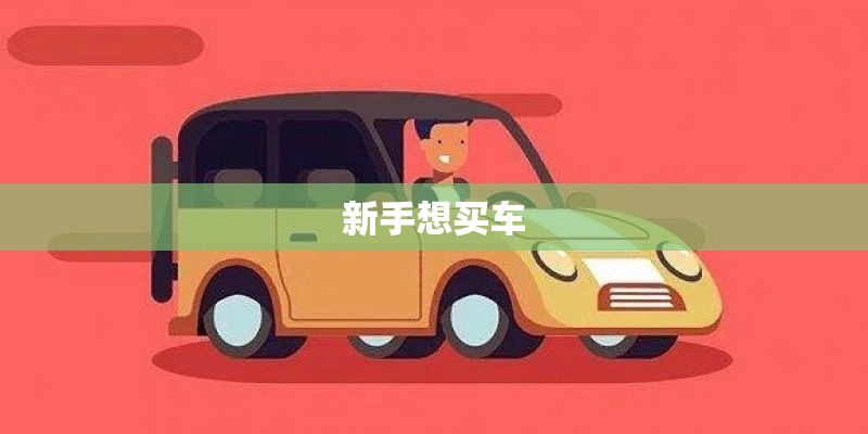 新手想买车