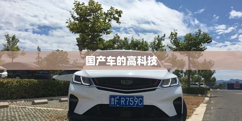 国产车的高科技 国产车的高科技