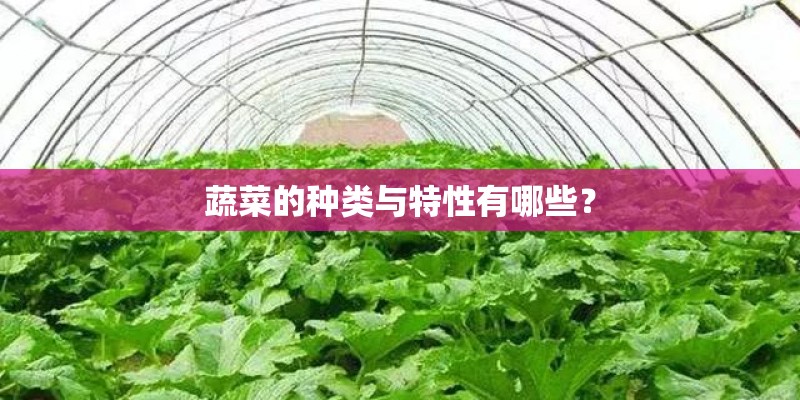 蔬菜的种类与特性有哪些？