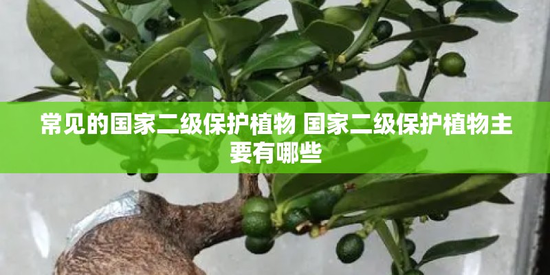 常见的国家二级保护植物 国家二级保护植物主要有哪些 常见的国家二级保护植物 国家二级保护植物主要有哪些