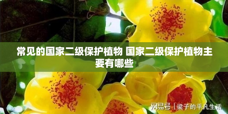 常见的国家二级保护植物 国家二级保护植物主要有哪些 常见的国家二级保护植物 国家二级保护植物主要有哪些