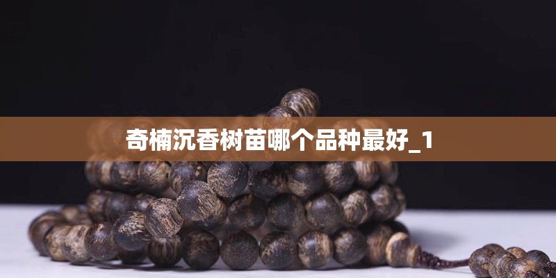 奇楠沉香树苗哪个品种最好_1 奇楠沉香树苗哪个品种最好_1