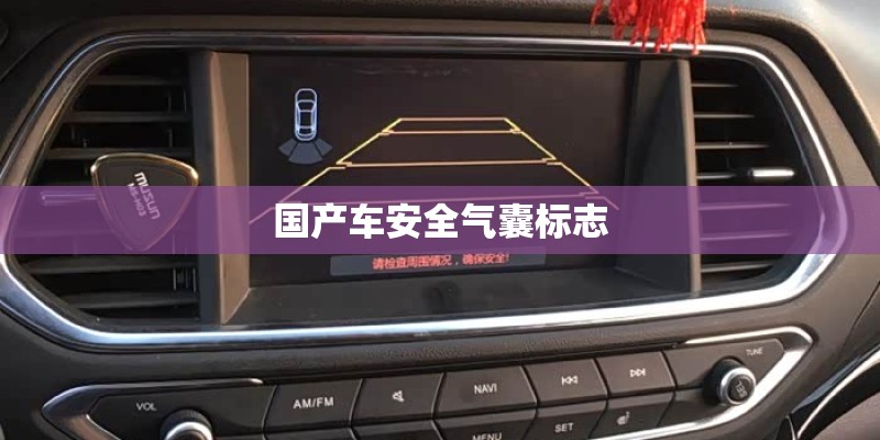国产车安全气囊标志 国产车安全气囊标志