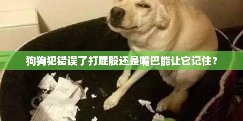 狗狗犯错误了打屁股还是嘴巴能让它记住？