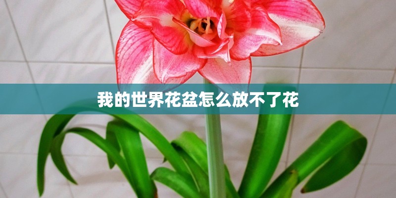 绕线式电机的特点用途
