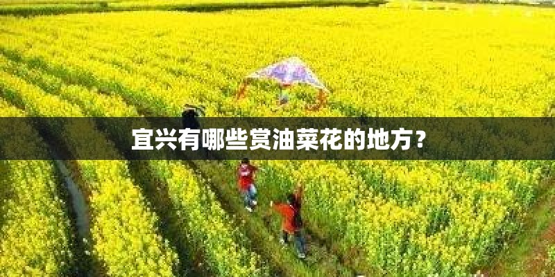 宜兴有哪些赏油菜花的地方？