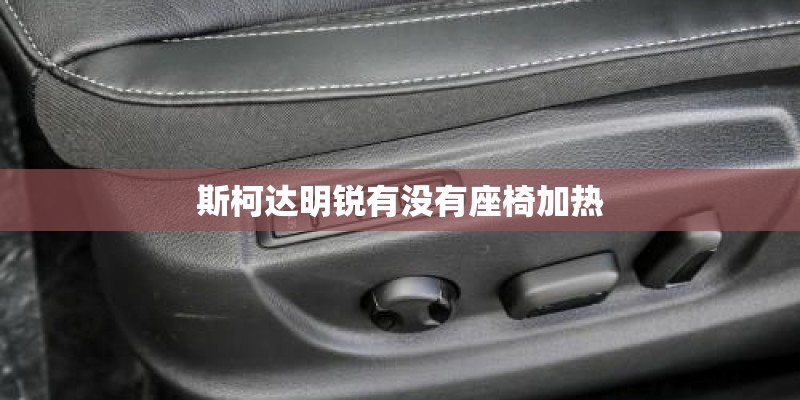 斯柯达明锐有没有座椅加热