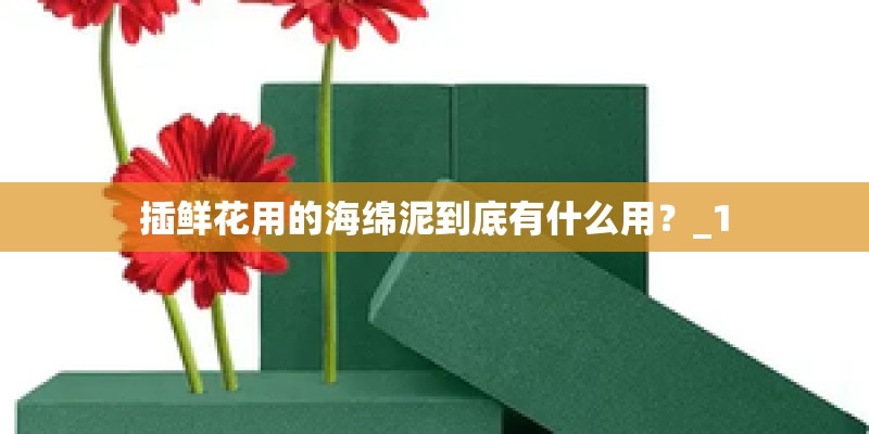 插鲜花用的海绵泥到底有什么用？_1