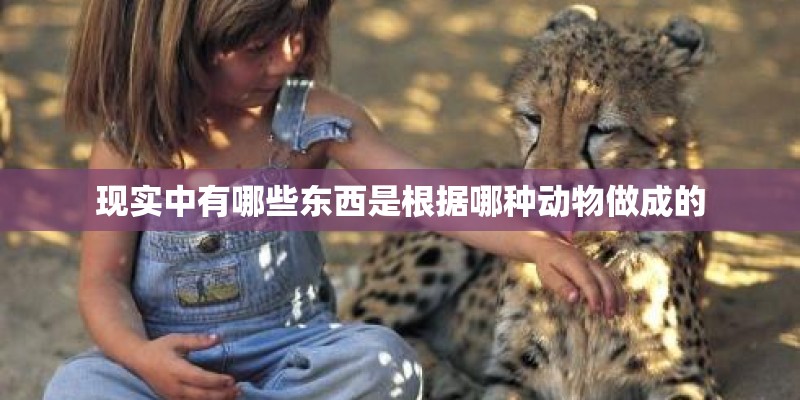 现实中有哪些东西是根据哪种动物做成的 现实中有哪些东西是根据哪种动物做成的