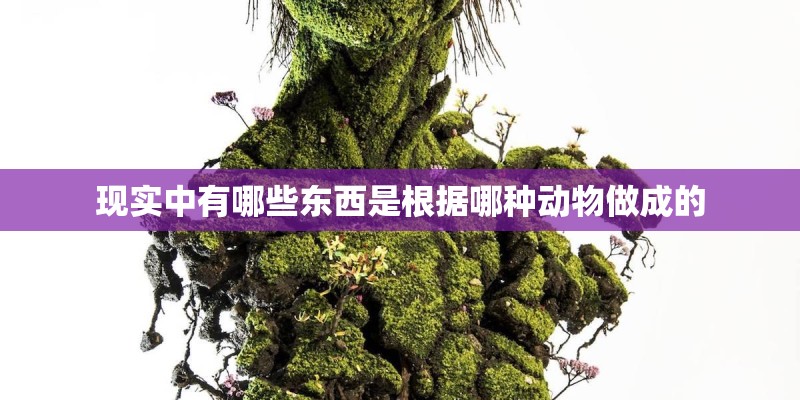 现实中有哪些东西是根据哪种动物做成的 现实中有哪些东西是根据哪种动物做成的
