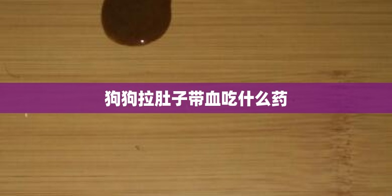 狗狗拉肚子带血吃什么药