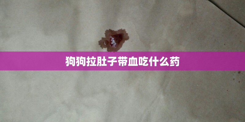 狗狗拉肚子带血吃什么药