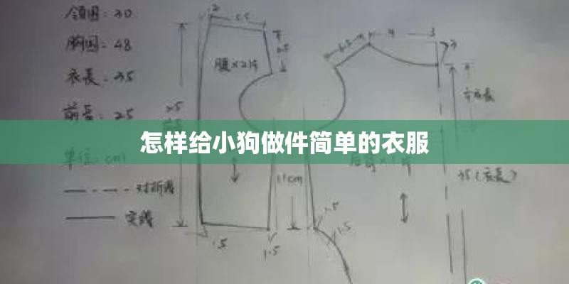 怎样给小狗做件简单的衣服 怎样给小狗做件简单的衣服