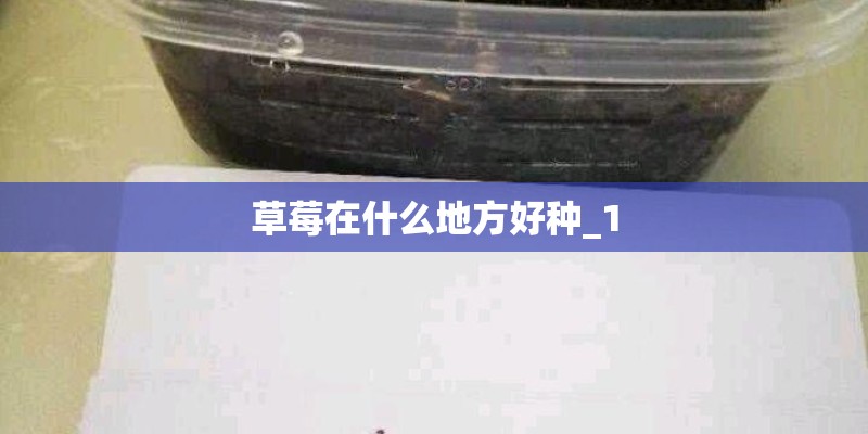 贵阳捉鸡麻将规则