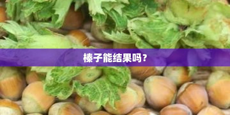 榛子能结果吗? 榛子能结果吗?