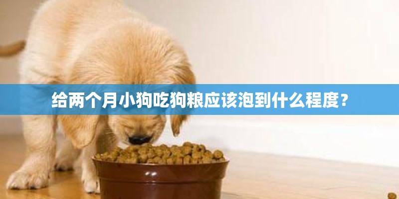 给两个月小狗吃狗粮应该泡到什么程度? 给两个月小狗吃狗粮应该泡到什么程度?