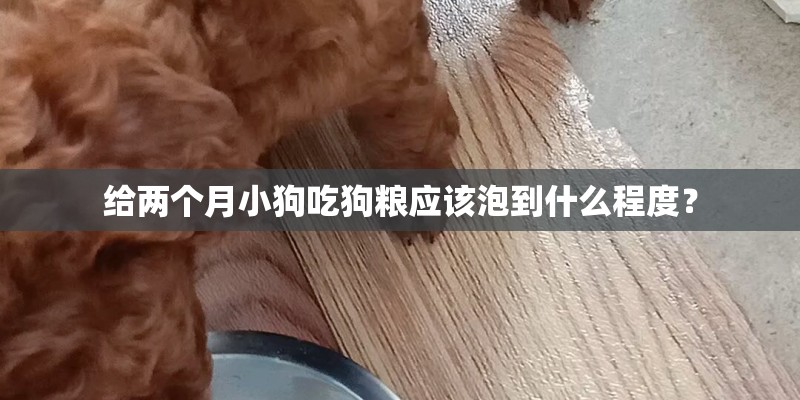 给两个月小狗吃狗粮应该泡到什么程度? 给两个月小狗吃狗粮应该泡到什么程度?
