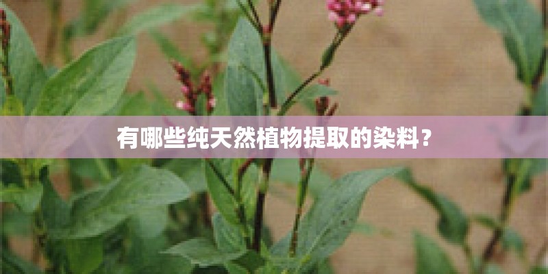 有哪些纯天然植物提取的染料? 有哪些纯天然植物提取的染料?