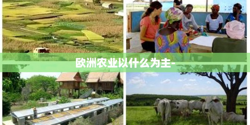 欧洲农业以什么为主-