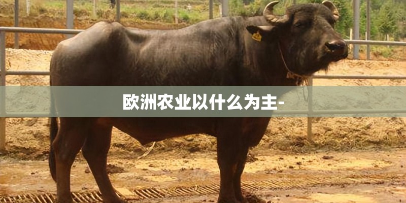 欧洲农业以什么为主-