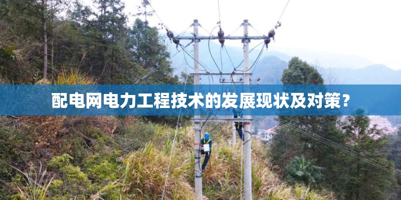 配电网电力工程技术的发展现状及对策? 配电网电力工程技术的发展现状及对策?