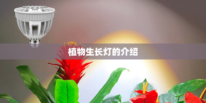 植物生长灯的介绍 植物生长灯的介绍