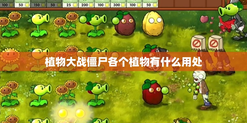 植物大战僵尸各个植物有什么用处