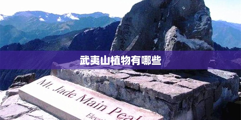 武夷山植物有哪些