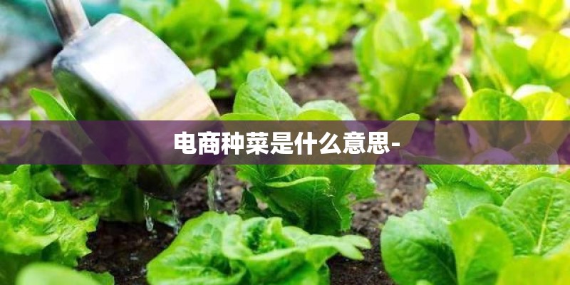 电商种菜是什么意思-