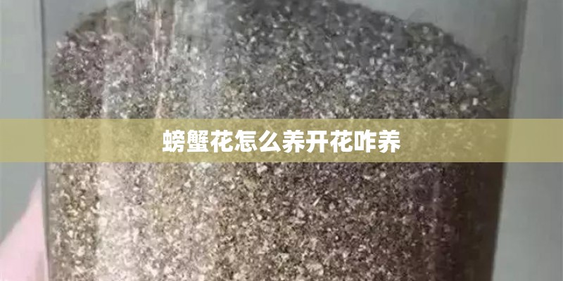 螃蟹花怎么养开花咋养