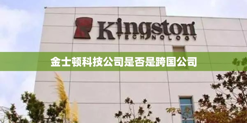 金士顿科技公司是否是跨国公司